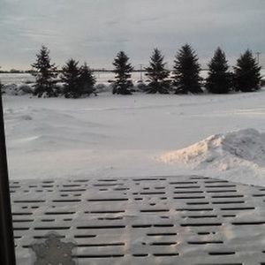 Meet your Posher, Dawn